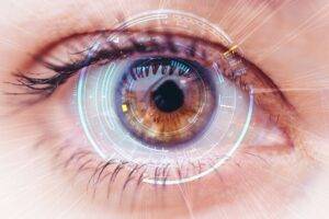 The Role of the Retina in Night Vision, Color Perception, and Detail featured image