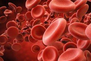 How Blood Flow and Circulation Impacts Retinal Health featured image